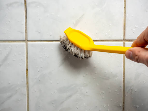 Office Mold Removal Services in Grant, MI