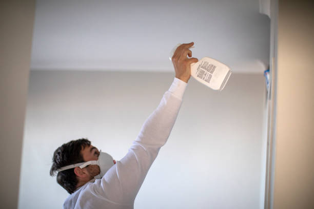 Best Local Mold Removal Service  in Grant, MI