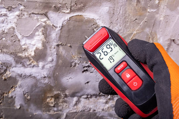 Best Mold Removal Company Near Me  in Grant, MI