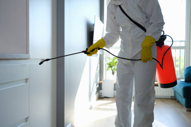 Best Mold Testing  in Grant, MI